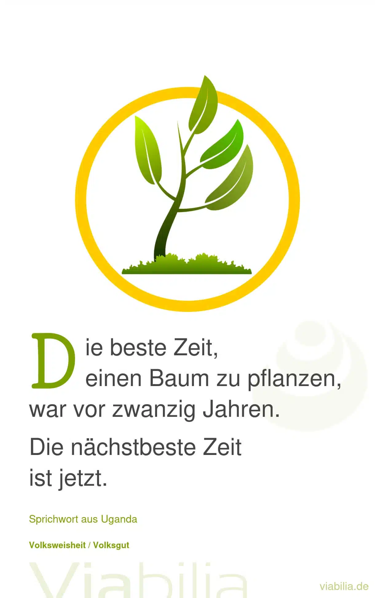 Die beste Zeit, einen Baum zu pflanzen