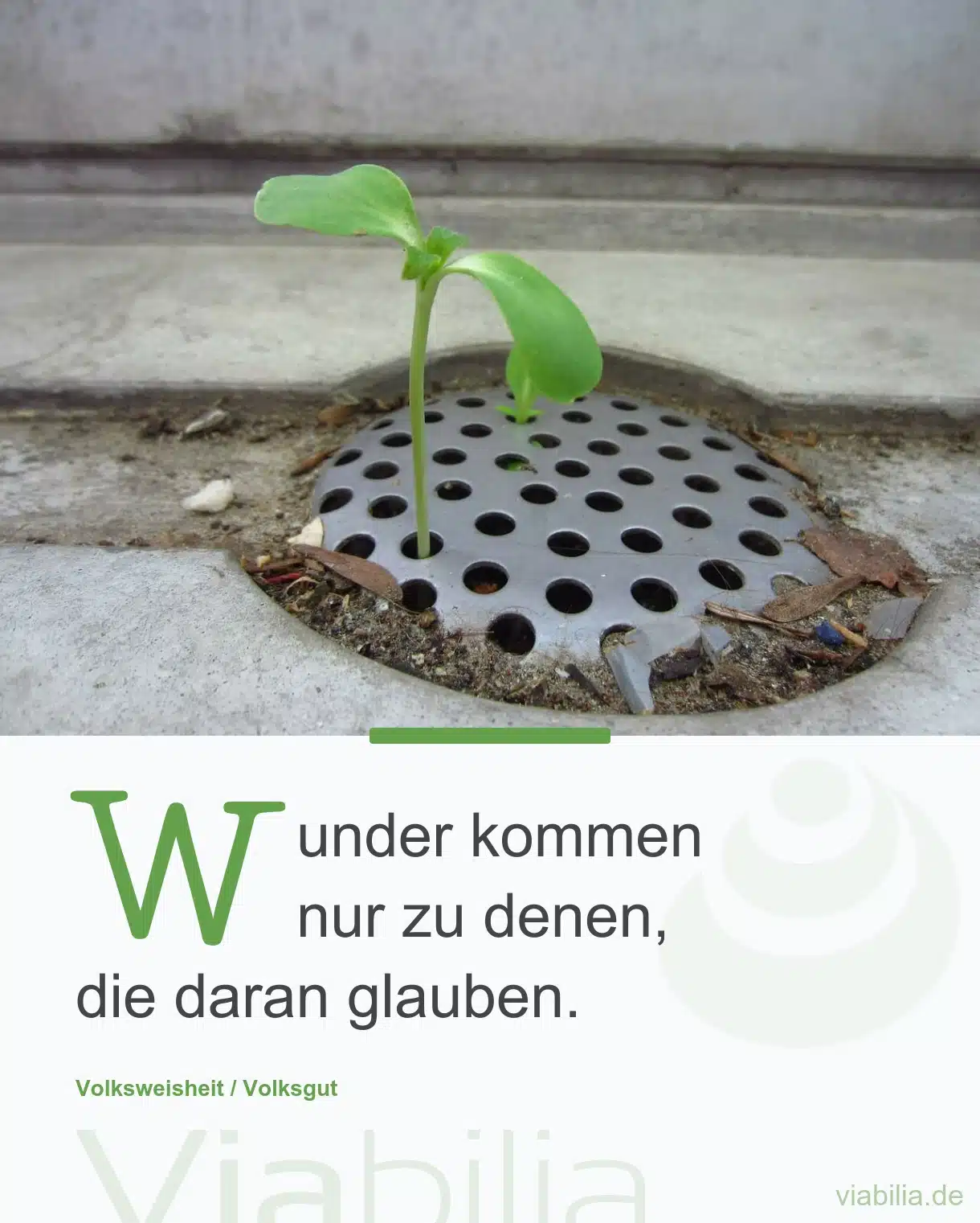 Schöner Spruch über Wunder