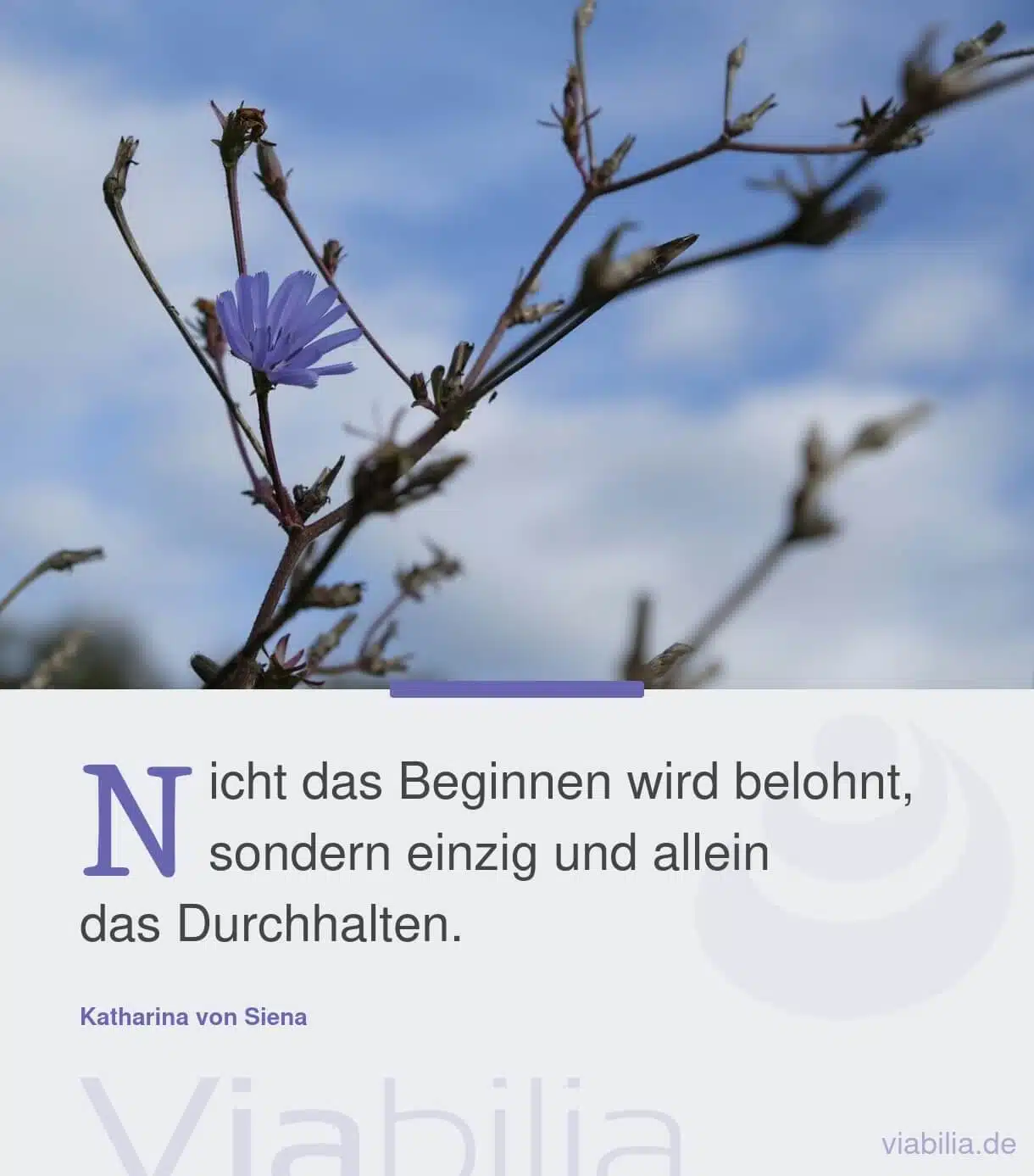 Spruch über Ausdauer und Durchhalten