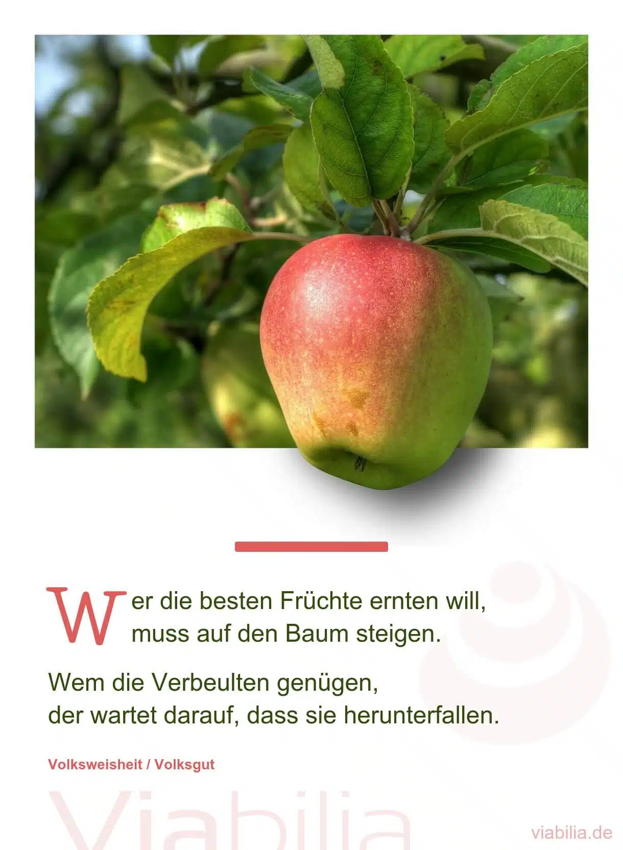 Spruch über die Ernte