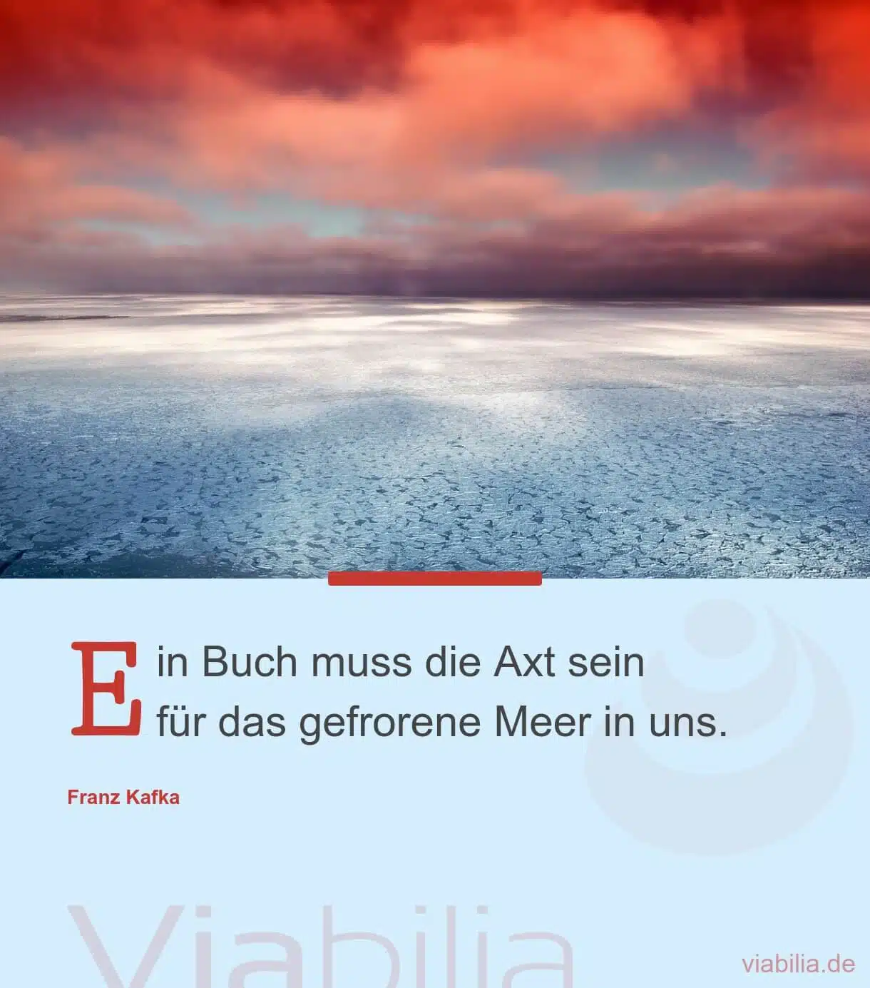 Spruch über Buch