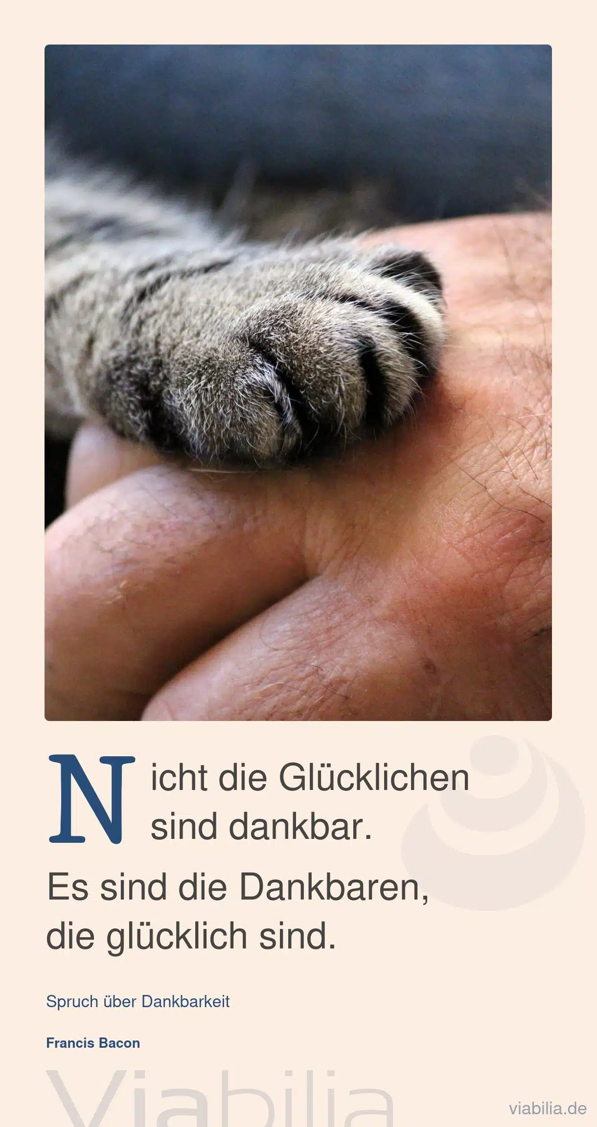 Lieber Spruch mit Katze im Bild über die Dankbarkeit