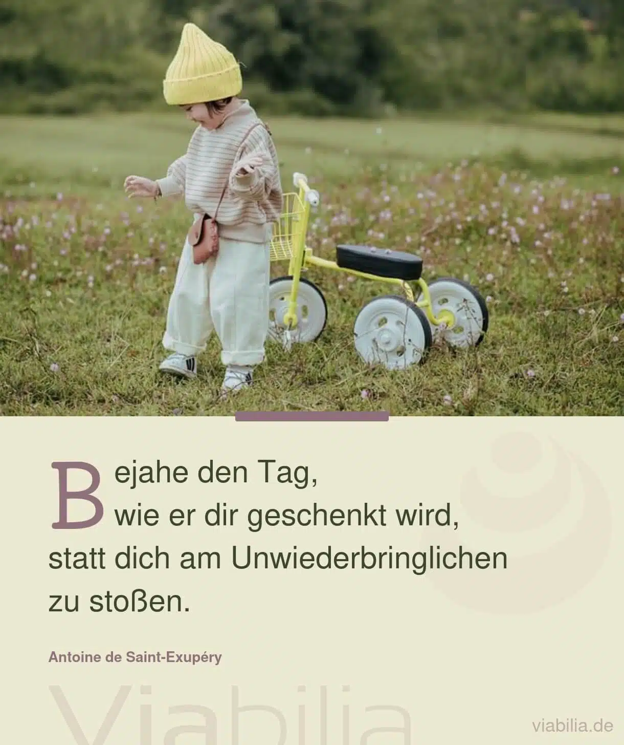 Spruch: den Tag bejahen