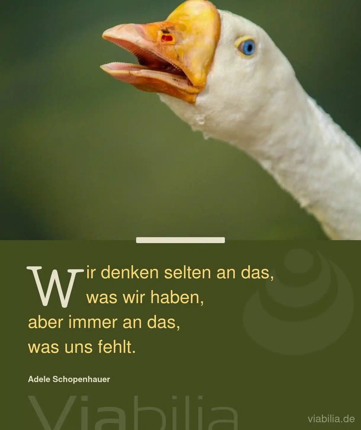 Spruch über ein Denken darüber, was uns fehlt