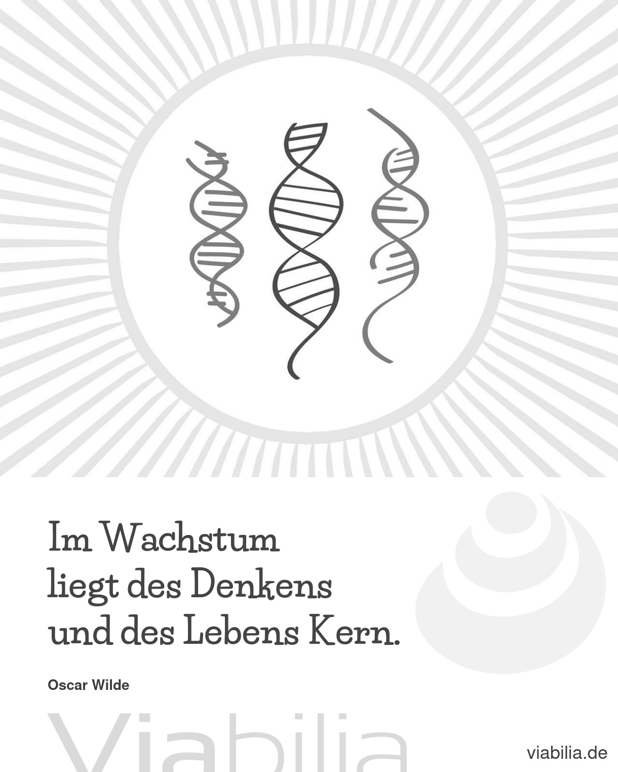 Spruch: des Lebens Kern