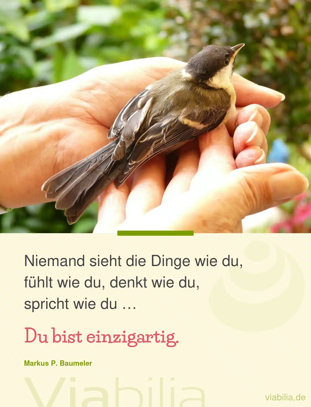 Spruch mit Vogel: du bist einzigartig