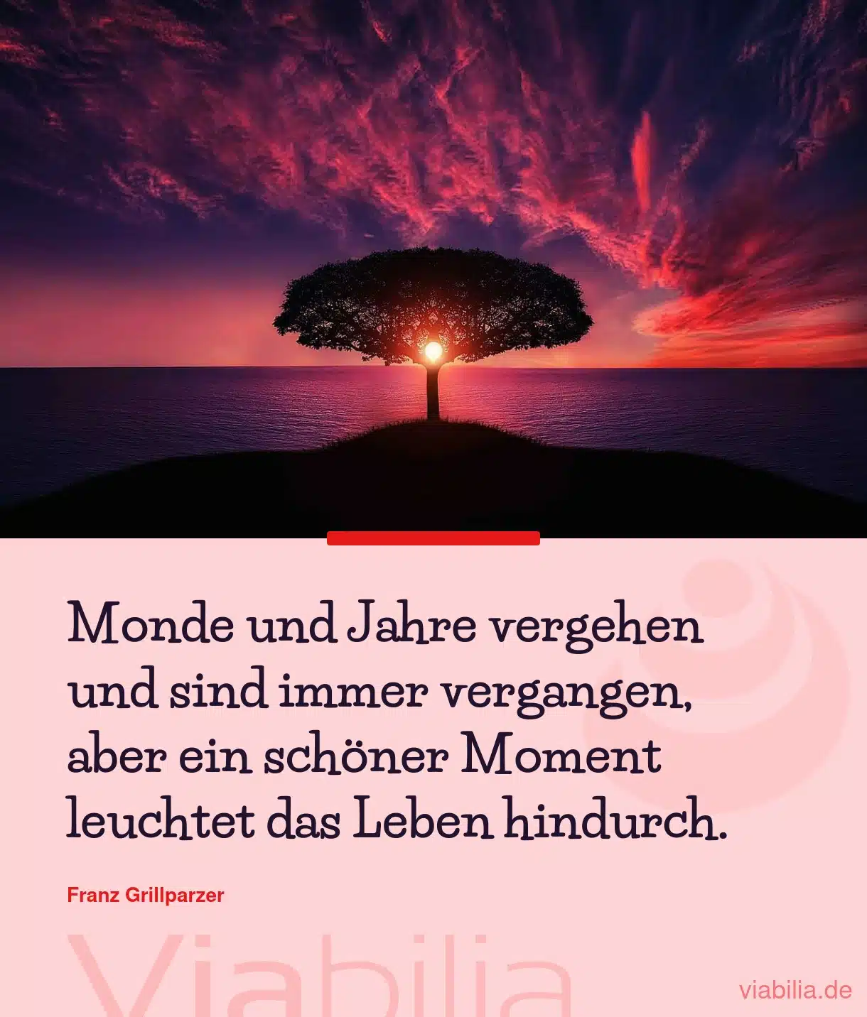 Spruch: ein schöner Moment