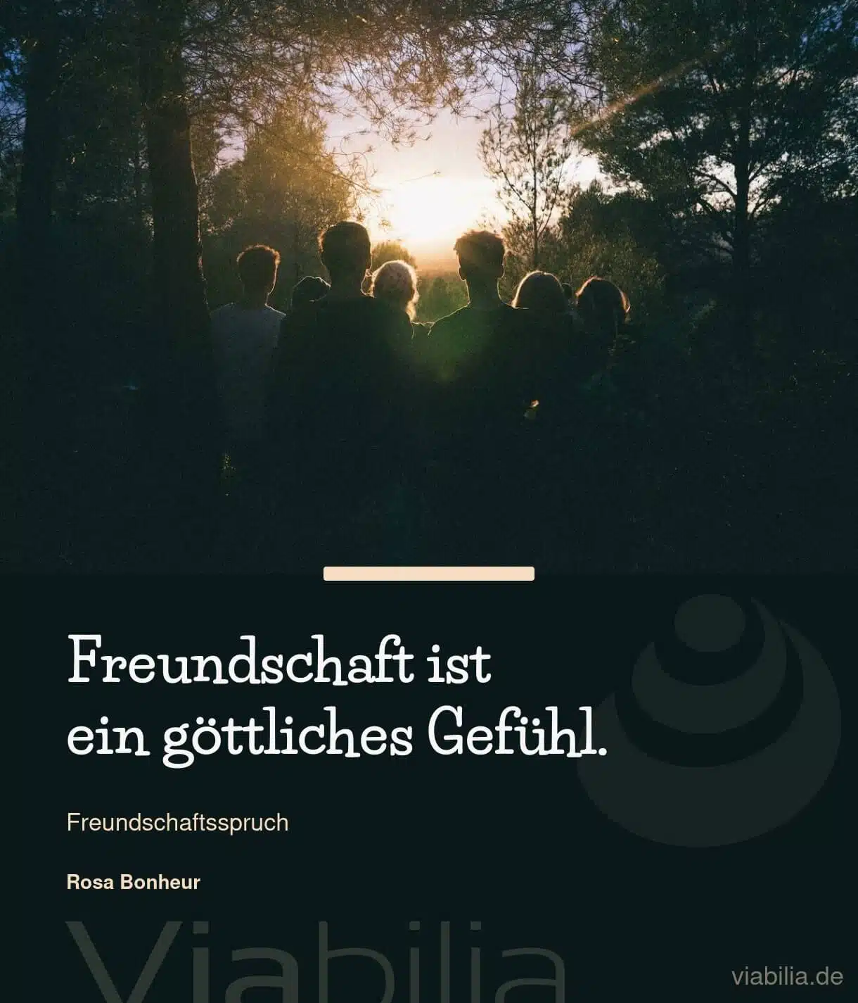 Spruch über die Freude der Freundschaft