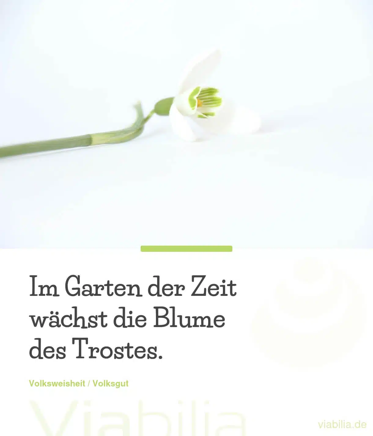 Metapher über den Garten der Zeit und Trost