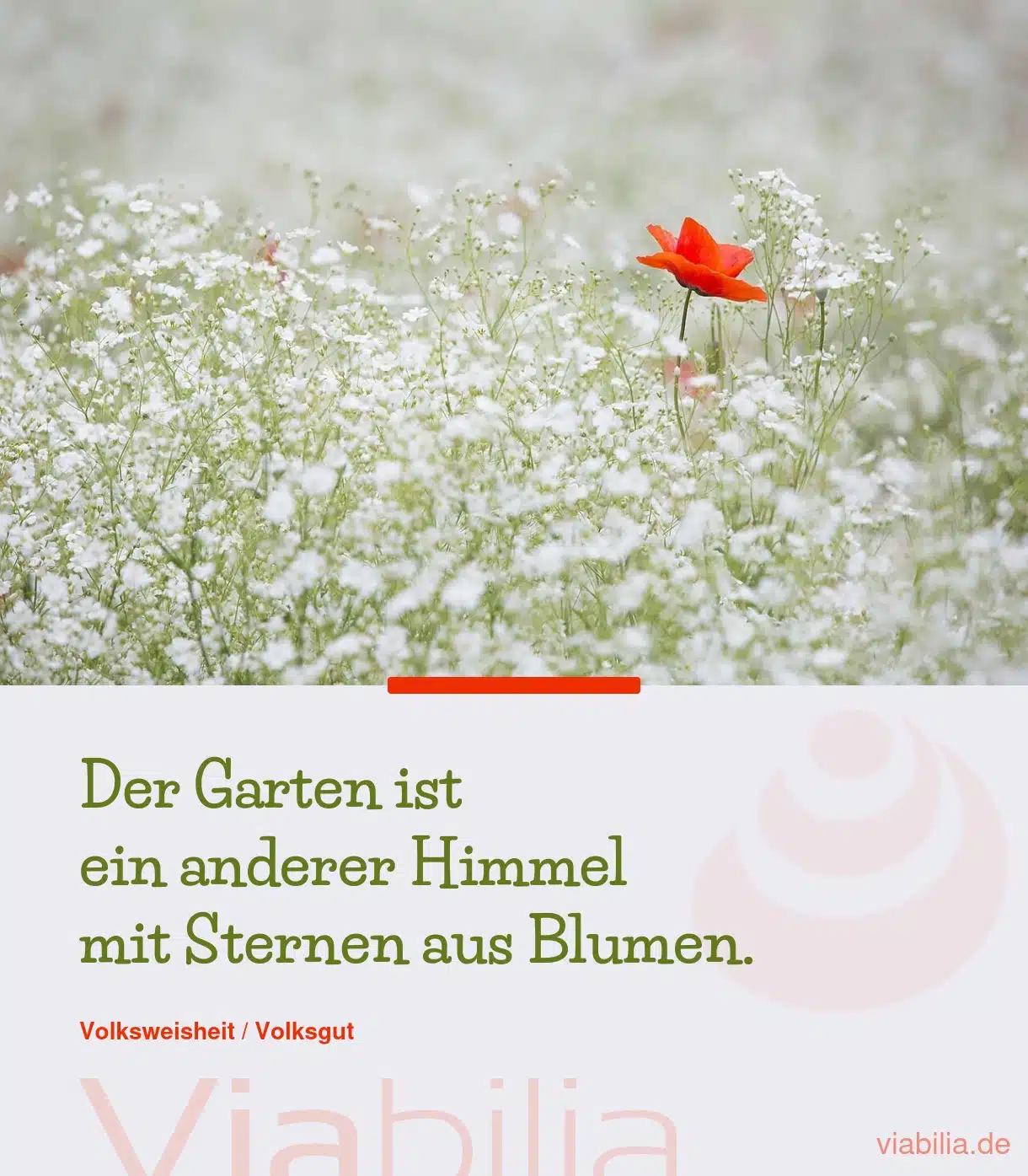 Spruch: Garten mit Sternen aus Blumen