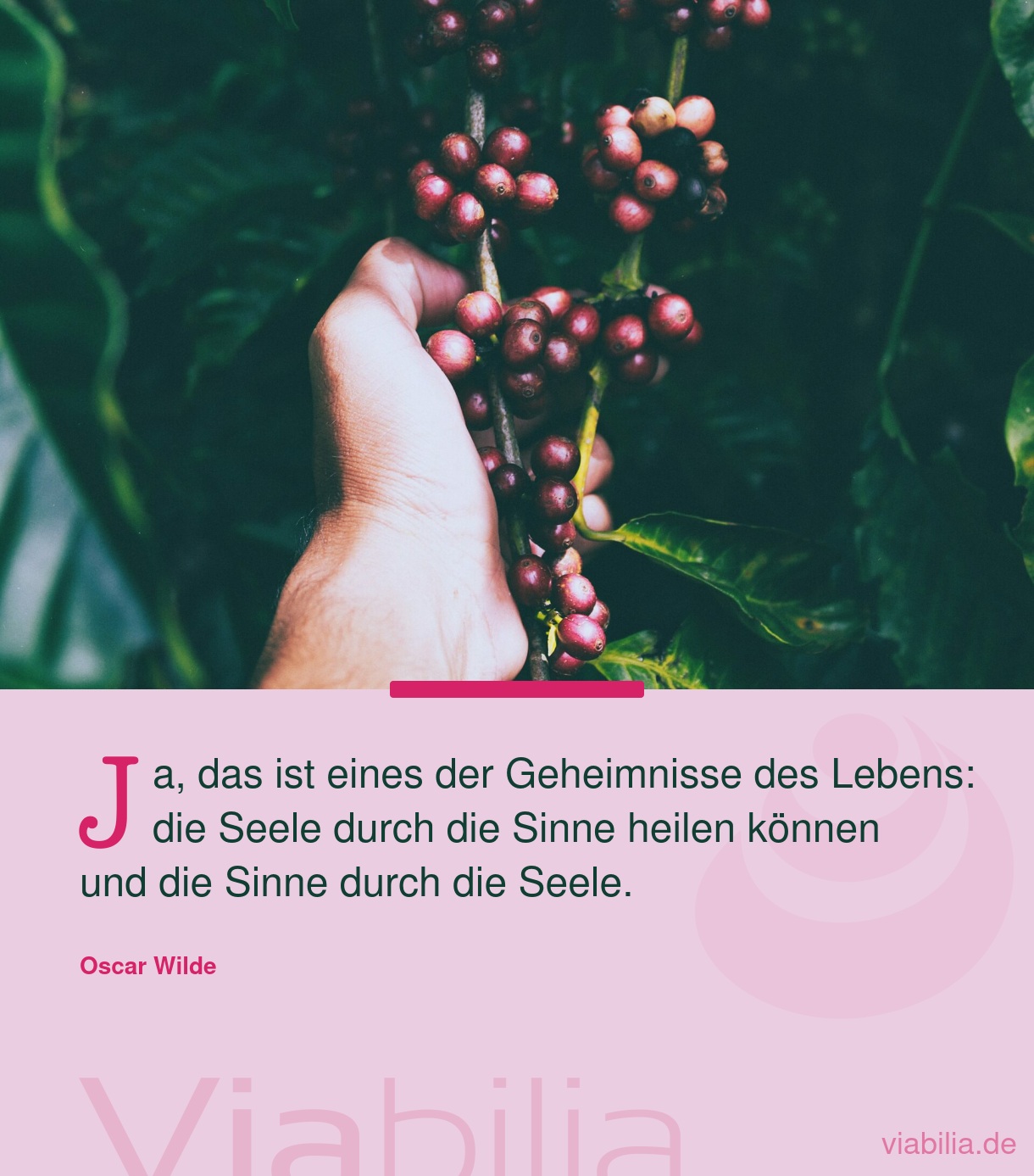 Spruch: Geheimnis des Lebens