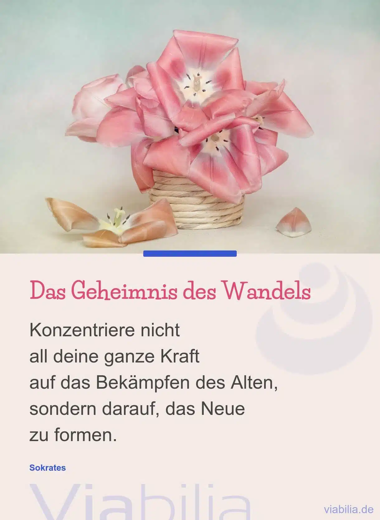 Das Geheimnis des Wandels