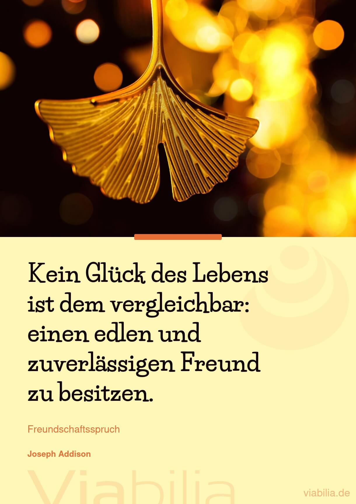 Freundschaftsspruch über Glück des Lebens