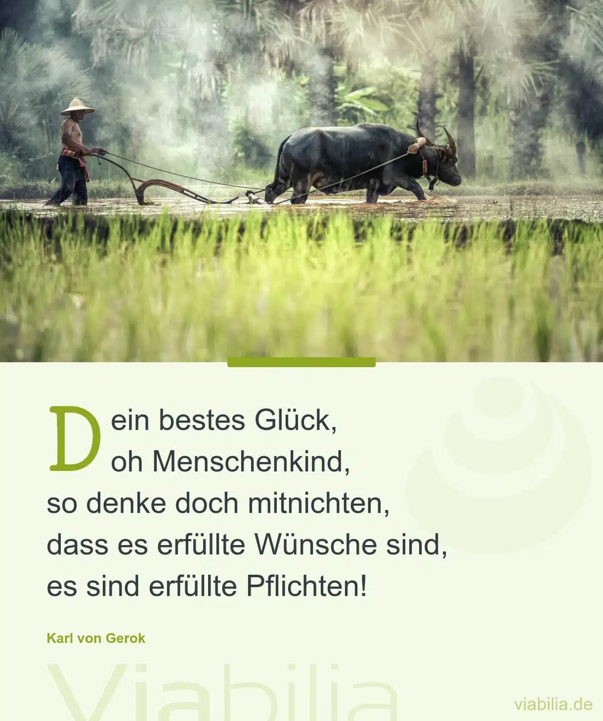 Spruch über Glück und erfüllte Pflichten