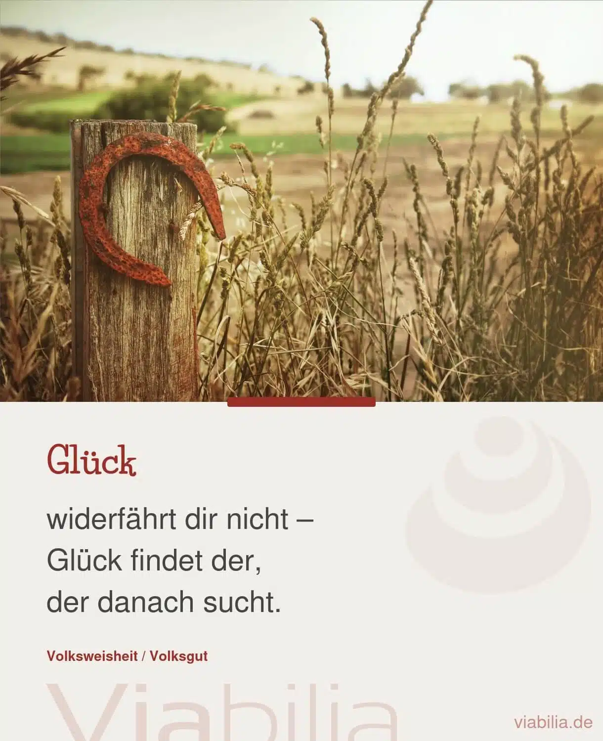 Spruch über Glück finden