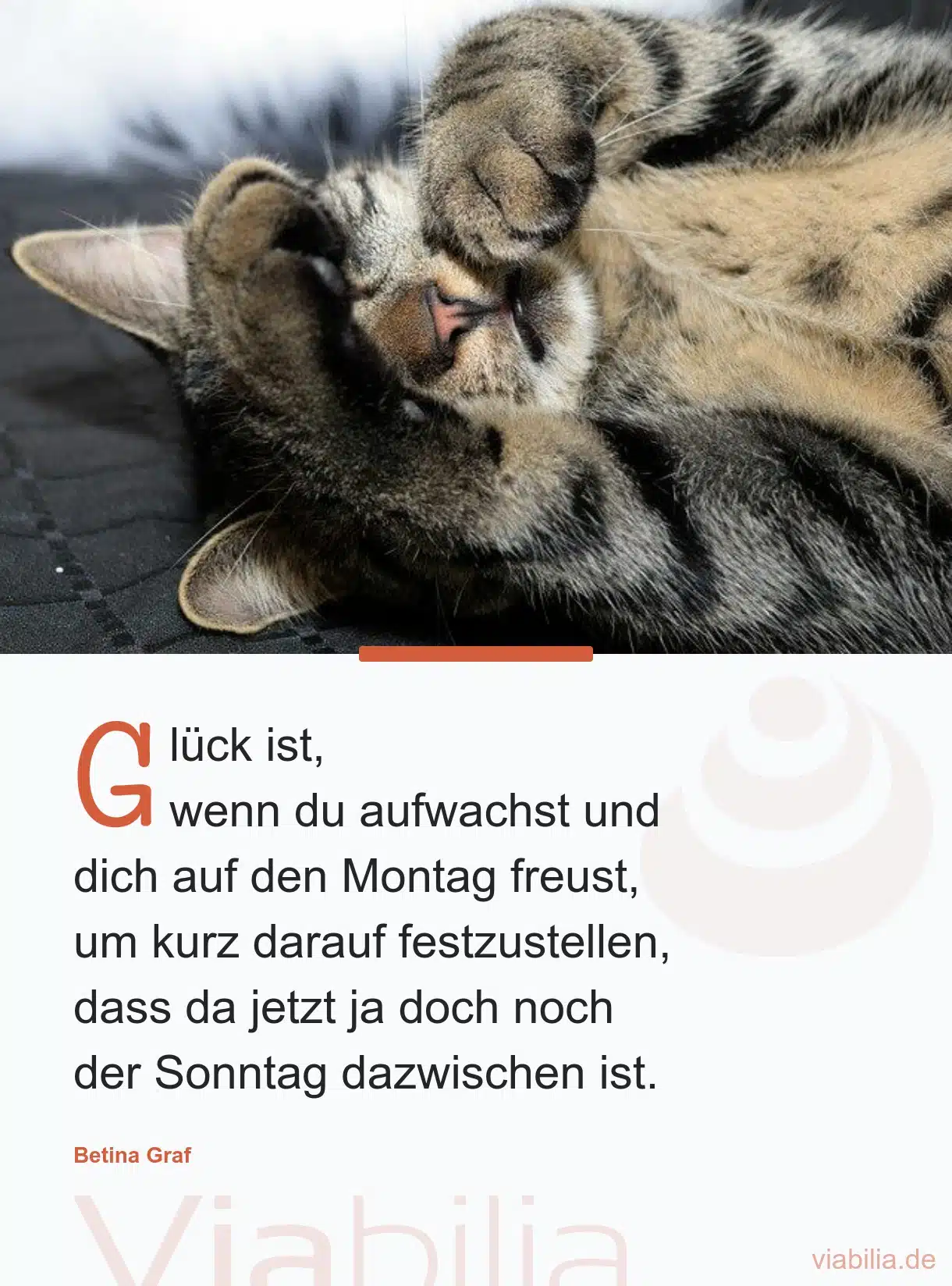 Spruch mit Katze: Glück ist, wenn du aufwachst