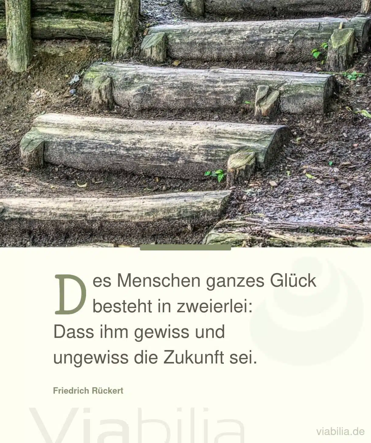 Sprüche mit Bild über die Quellen des Glücks