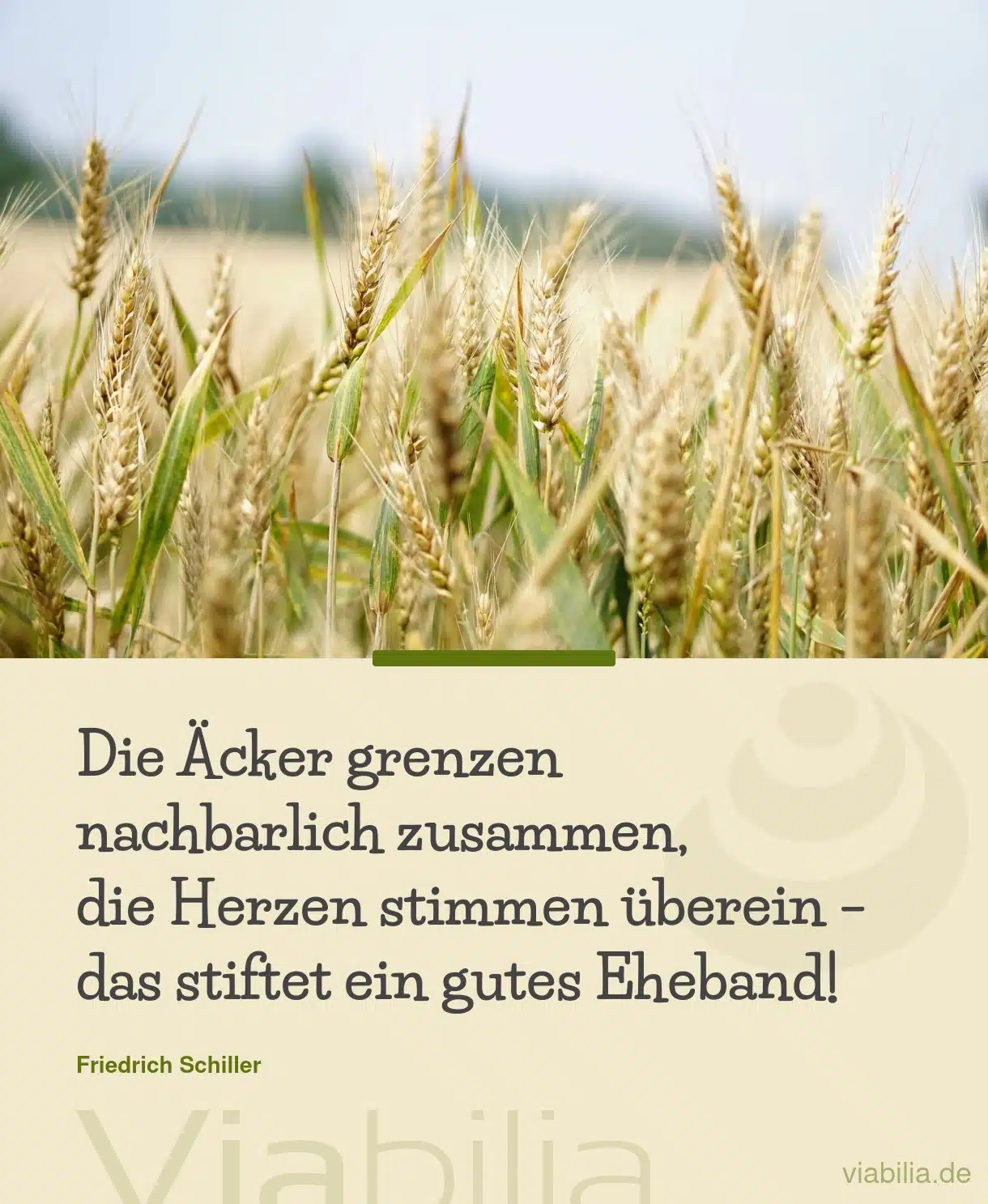 Spruch: gutes Eheband