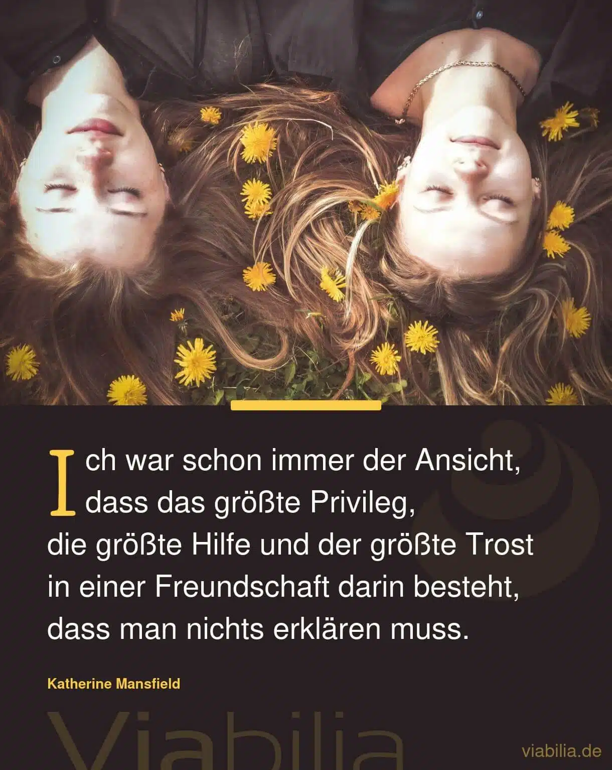 Freundschaftsspruch über Vestandenwerden in der Freundschaft