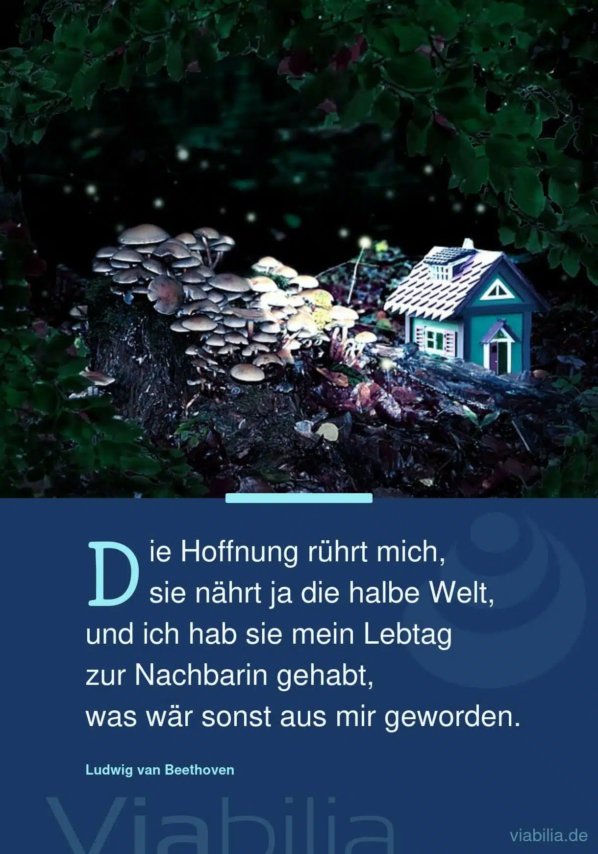 Spruch mit Bild über die Hoffnung als Nachbarin