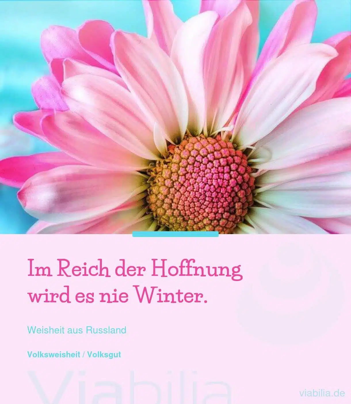 Spruch: im Reich der Hoffnung ist nie Winter