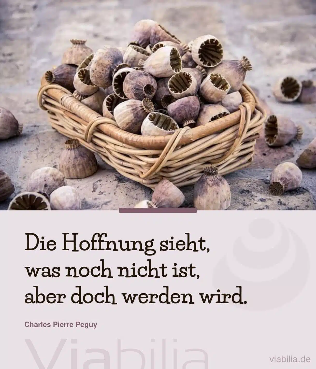 Spruch über die Hoffnung, was werden wird