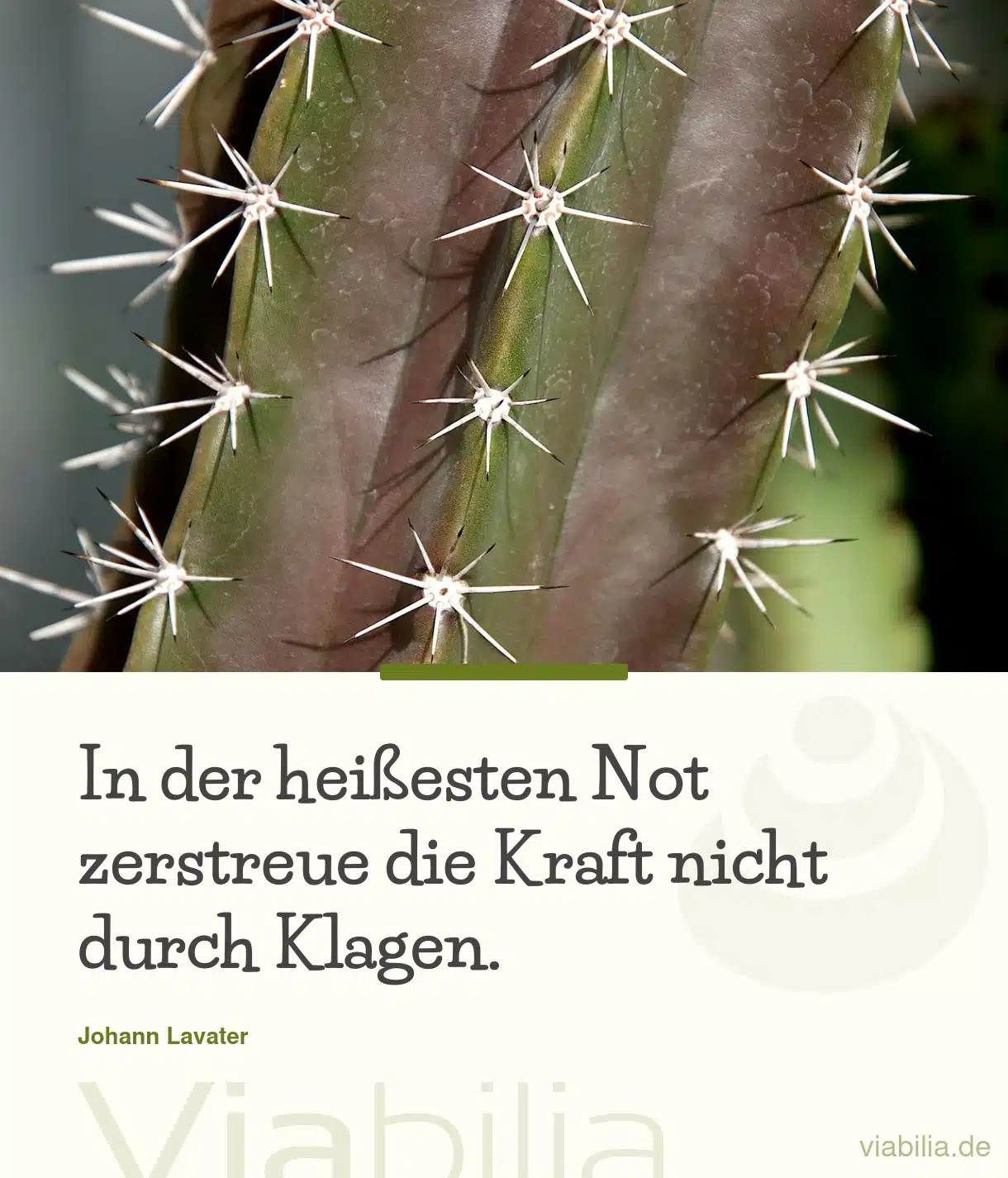 Spruch: in Not nicht klagen