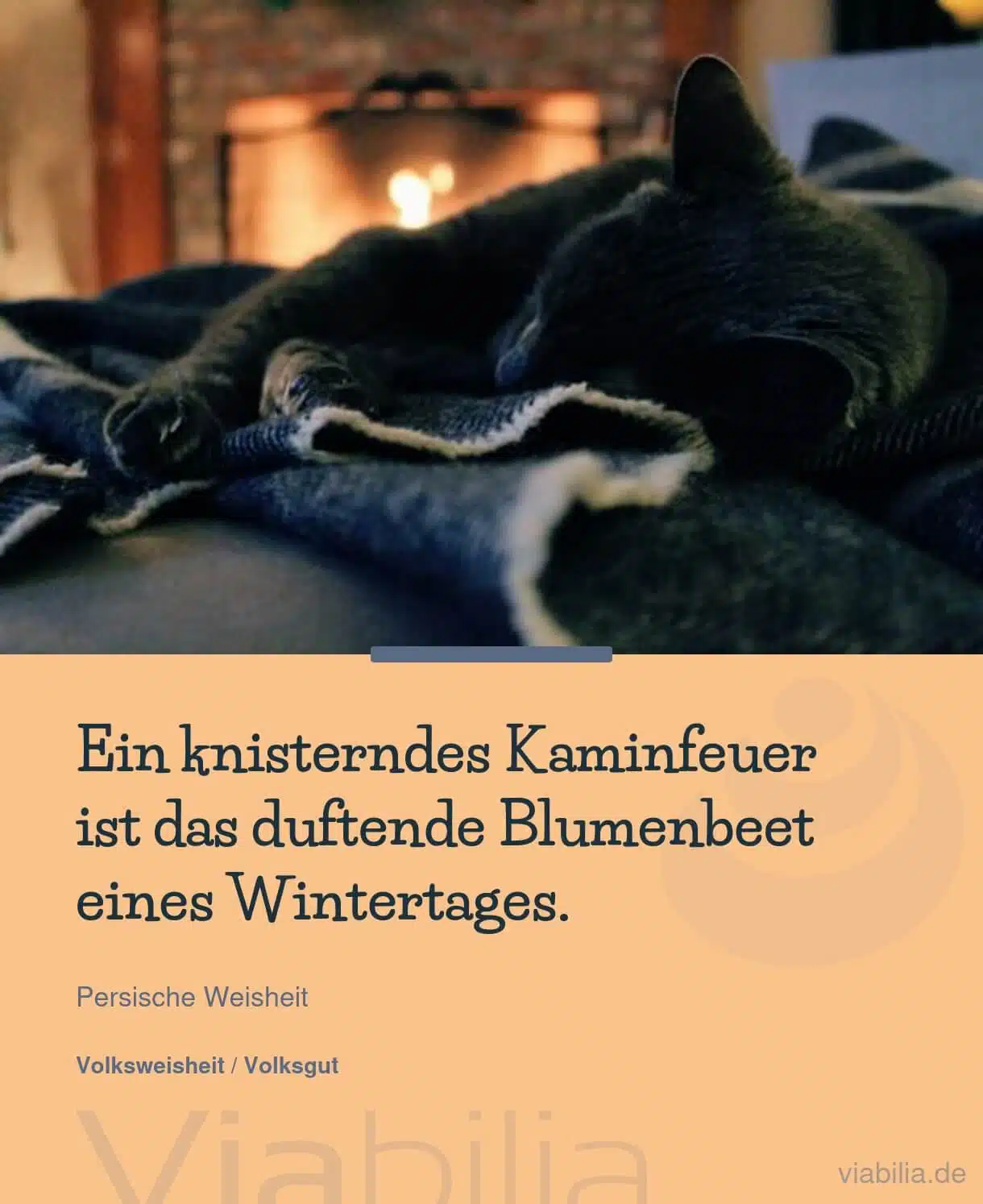 Spruch mit einer Katze am Kaminfeuer