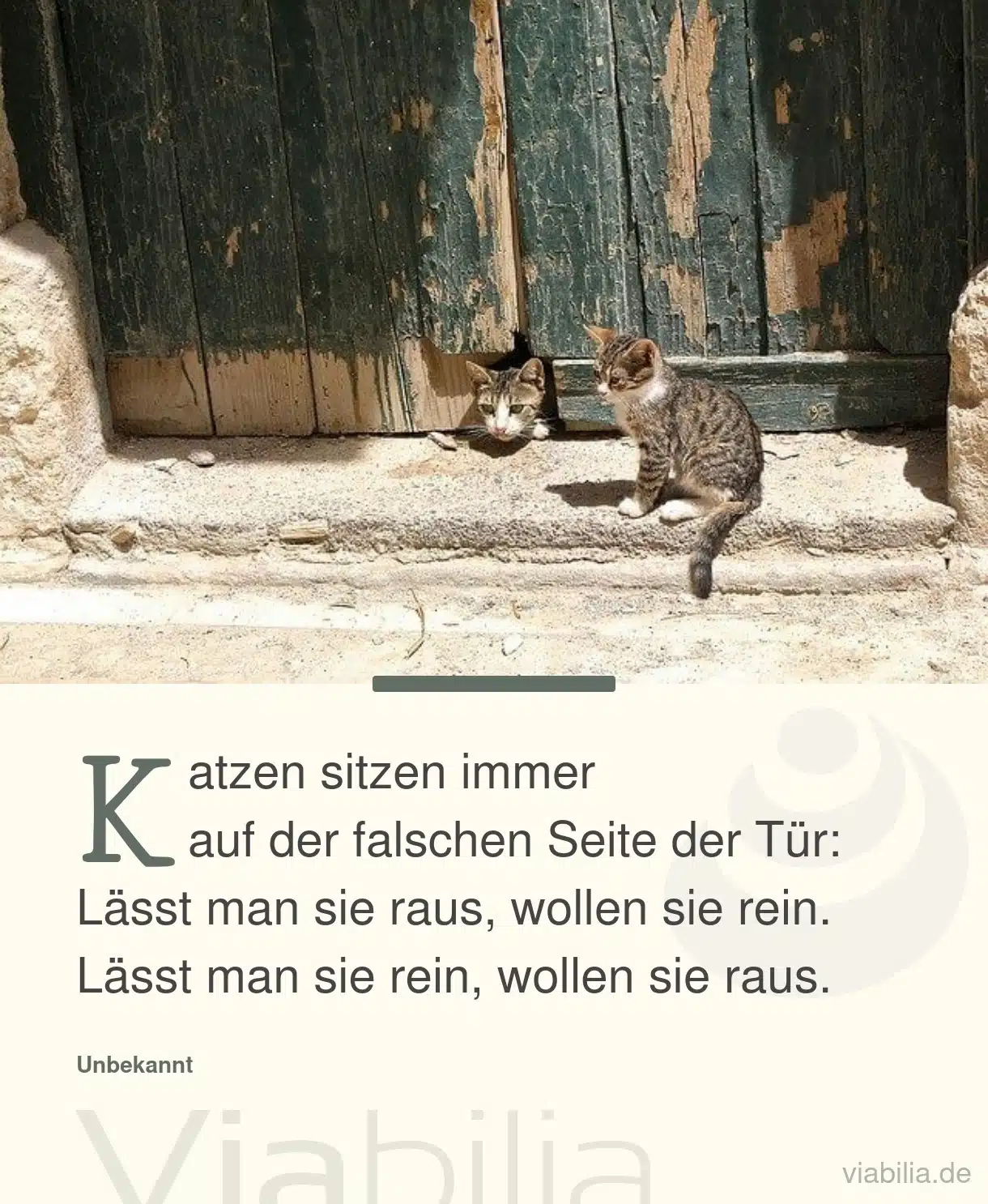 Katzenspruch: Katzen sitzen immer an der falschen Seite der Tür