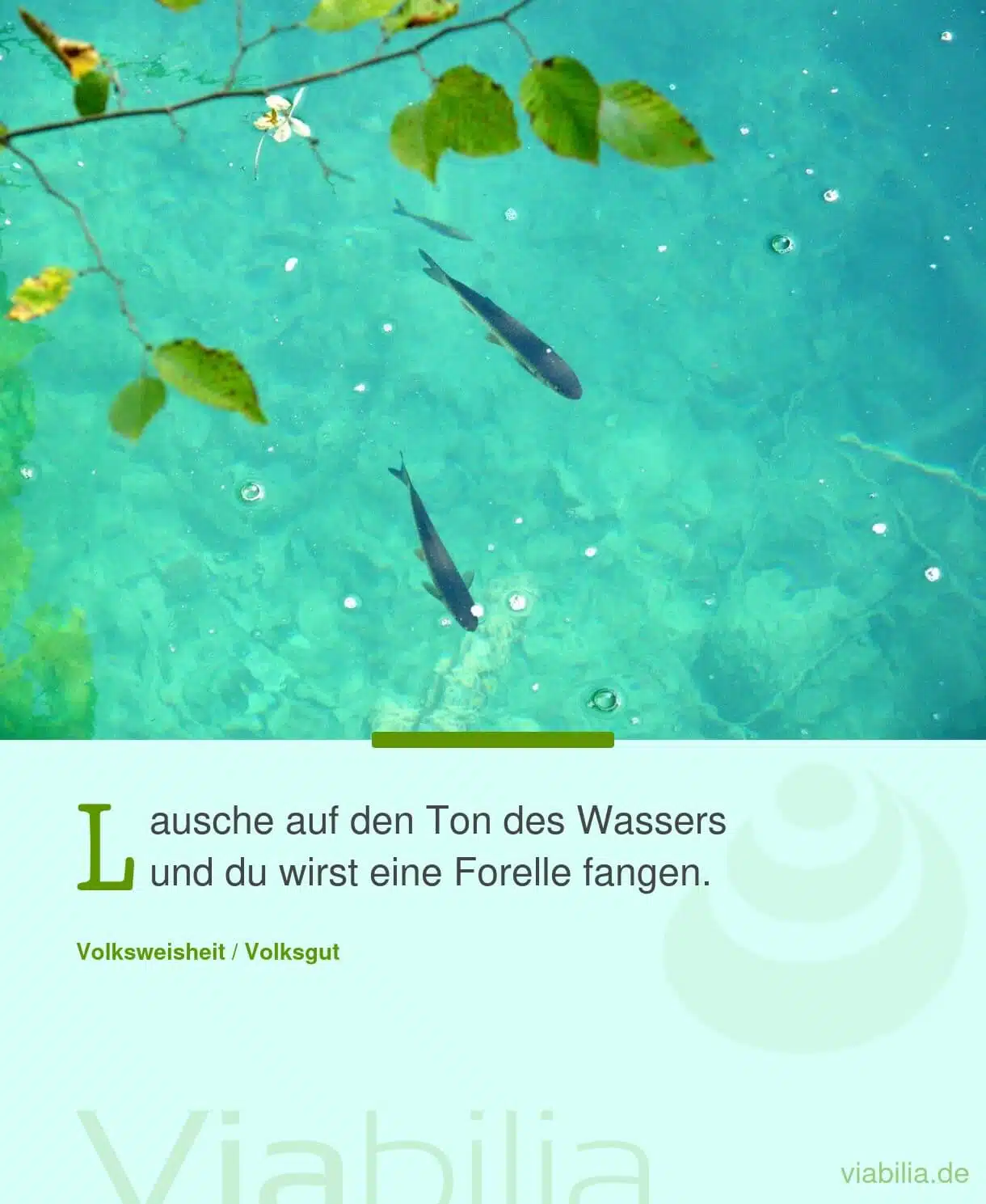 Spruch: auf Ton des Wassers lauschen