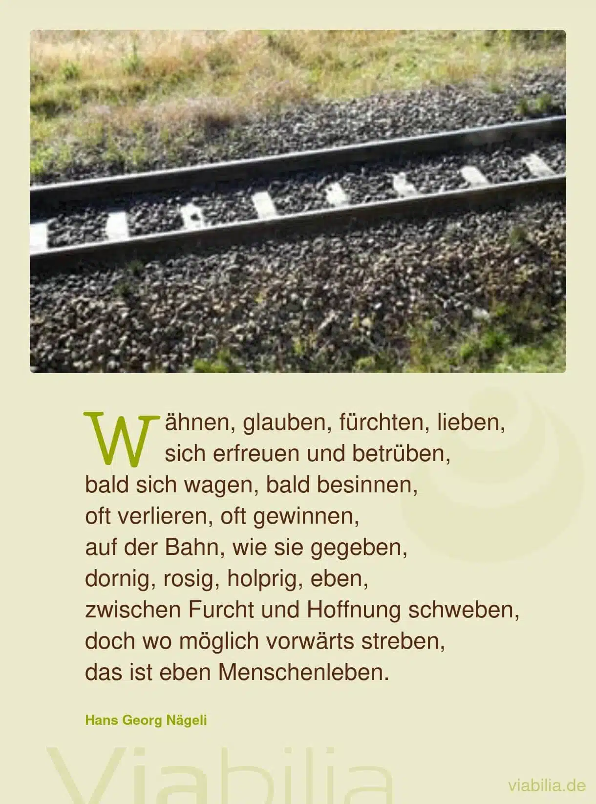 Froher Spruch über die Lebenskunst: Fürchten, wagen, ...