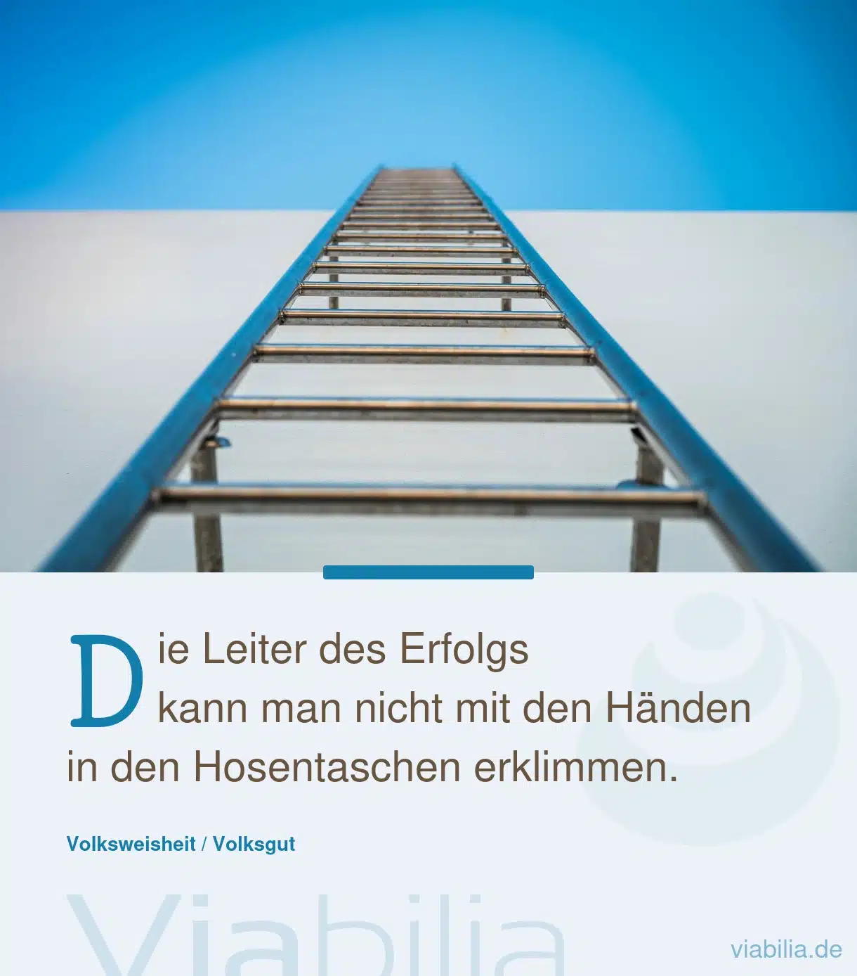 Spruch: die Leiter des Erfolgs