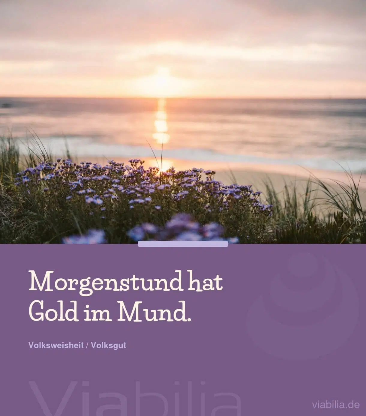 Sprichwort: Morgenstund hat Gold im Mund