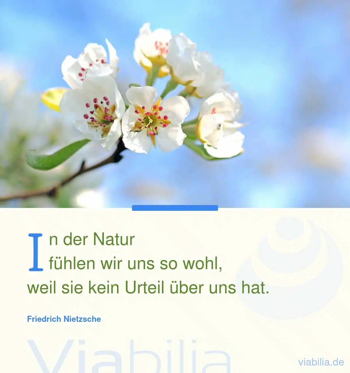 Schöner Spruch über die Natur