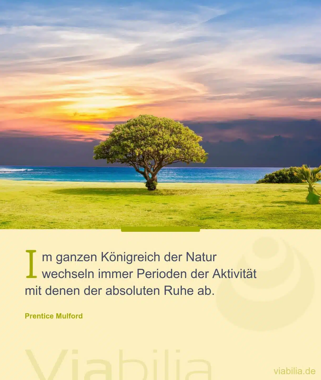 Spruch über Veränderung und Wandel