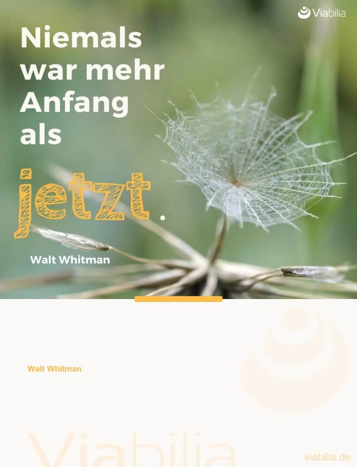 Spruch: niemals war mehr Anfang