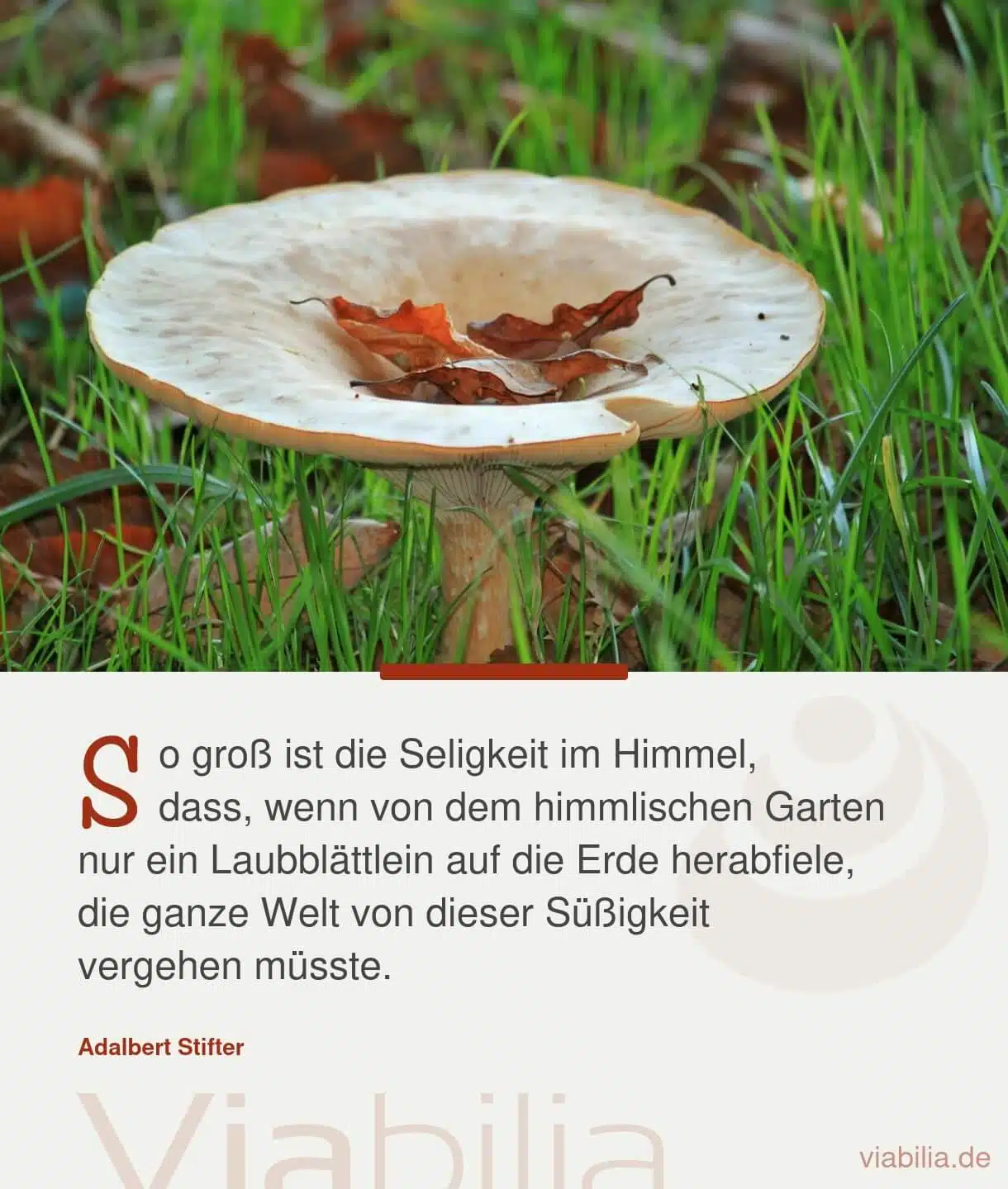 Spruch über die Seligkeit im Himmel