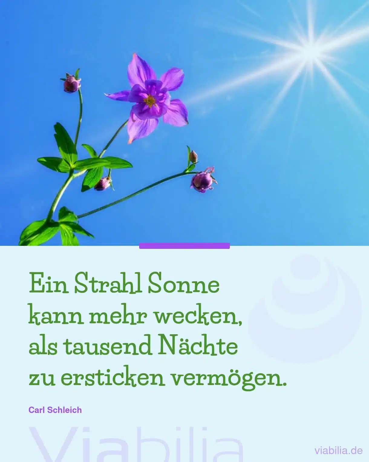 Spruch über Sonnenstrahlen, die Hoffnung wecken