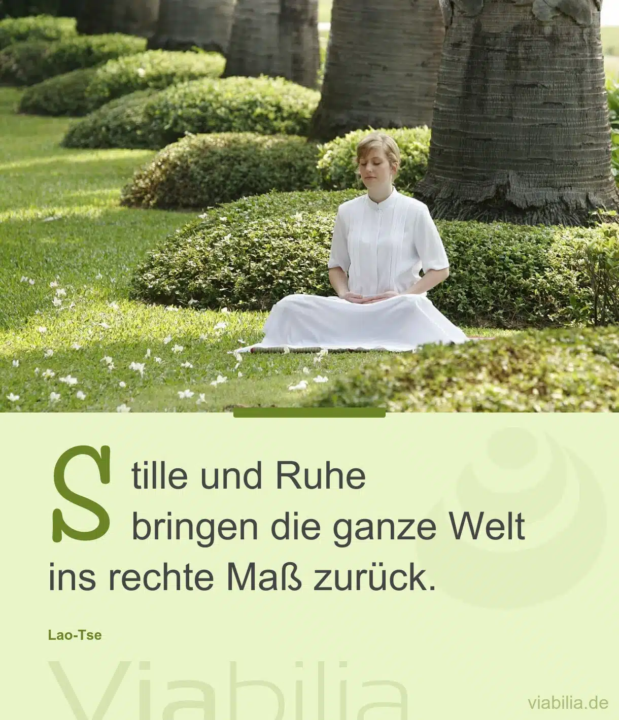 Spruch über Aufmerksamkeit und Stille