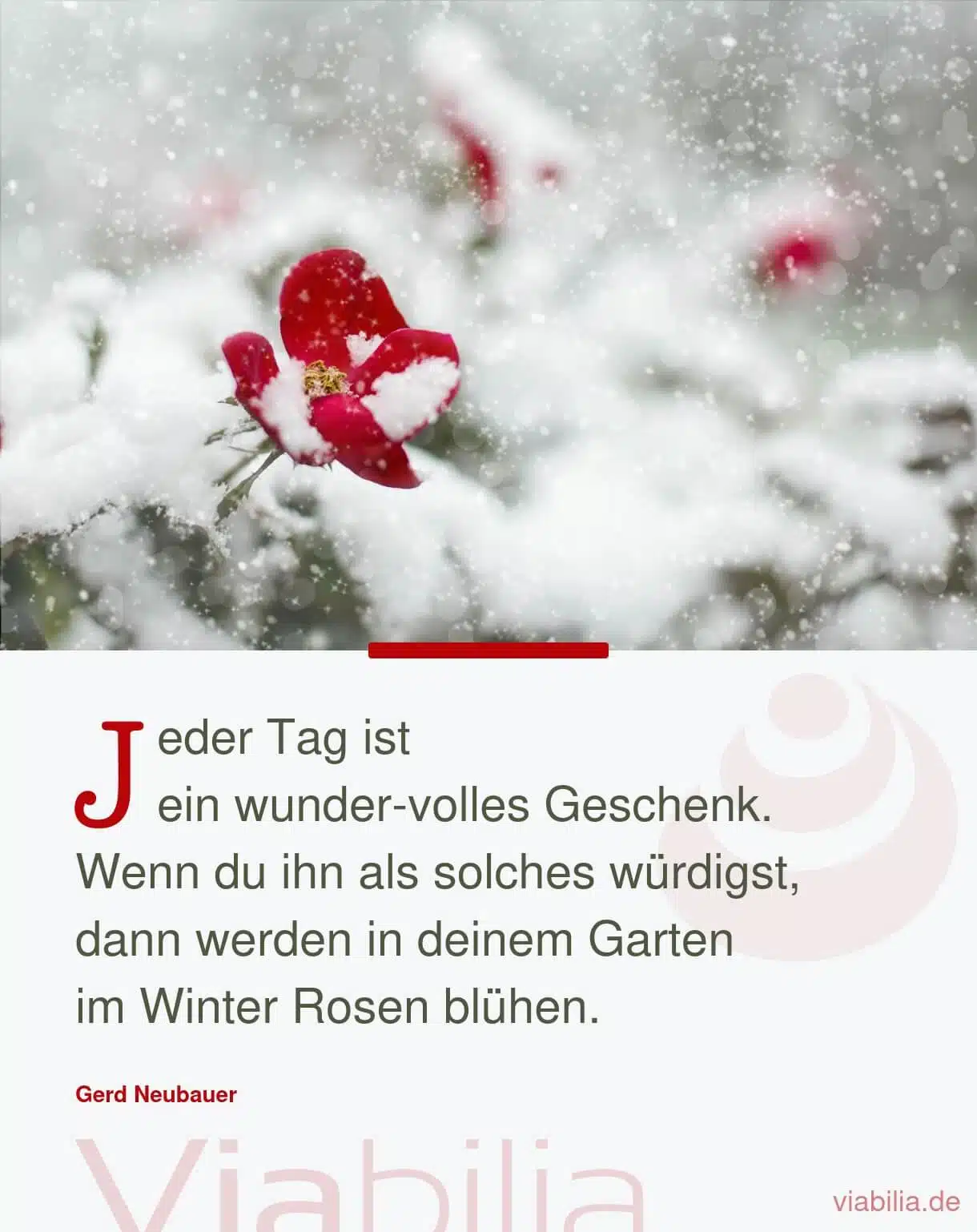 Jeder Tag als wundervolles Geschenk - Spruch