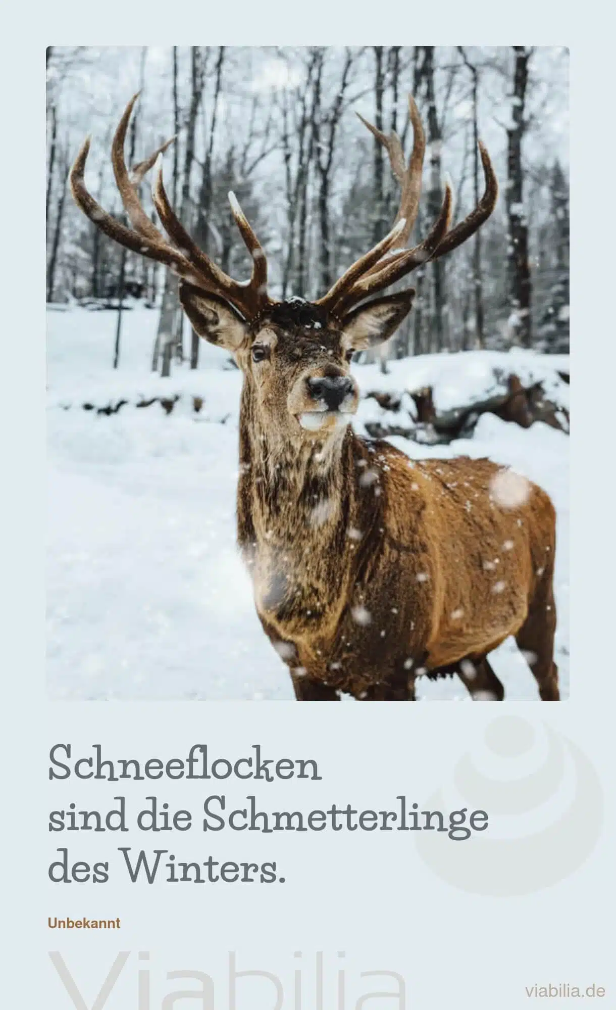 Spruch mit Tier (Hirsch) im Schnee