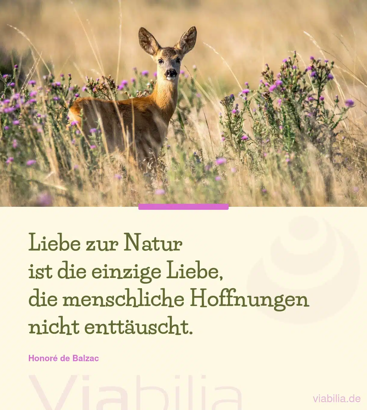 Spruch über die Liebe zur Natur