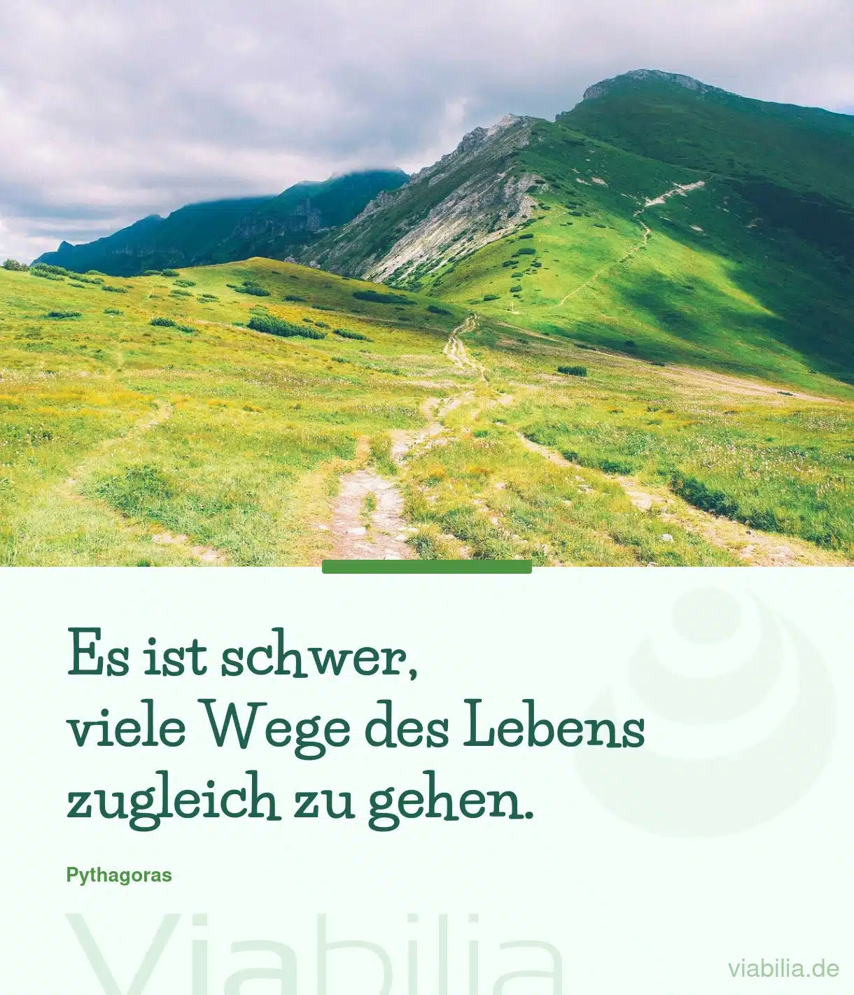 Spruch: viele Wege des Lebens gehen ist schwer