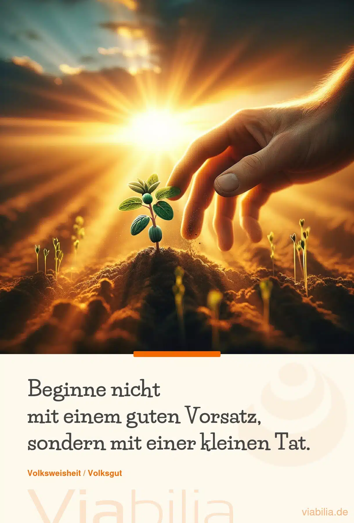 Spruch über Vorsätze: beginne mit einer kleinen Tat