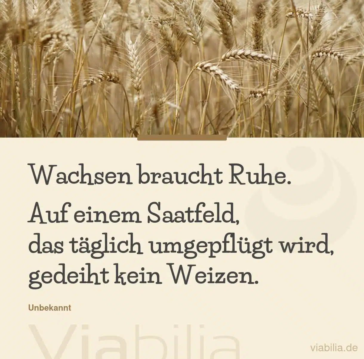 Spruch: Wachsen braucht Ruhe