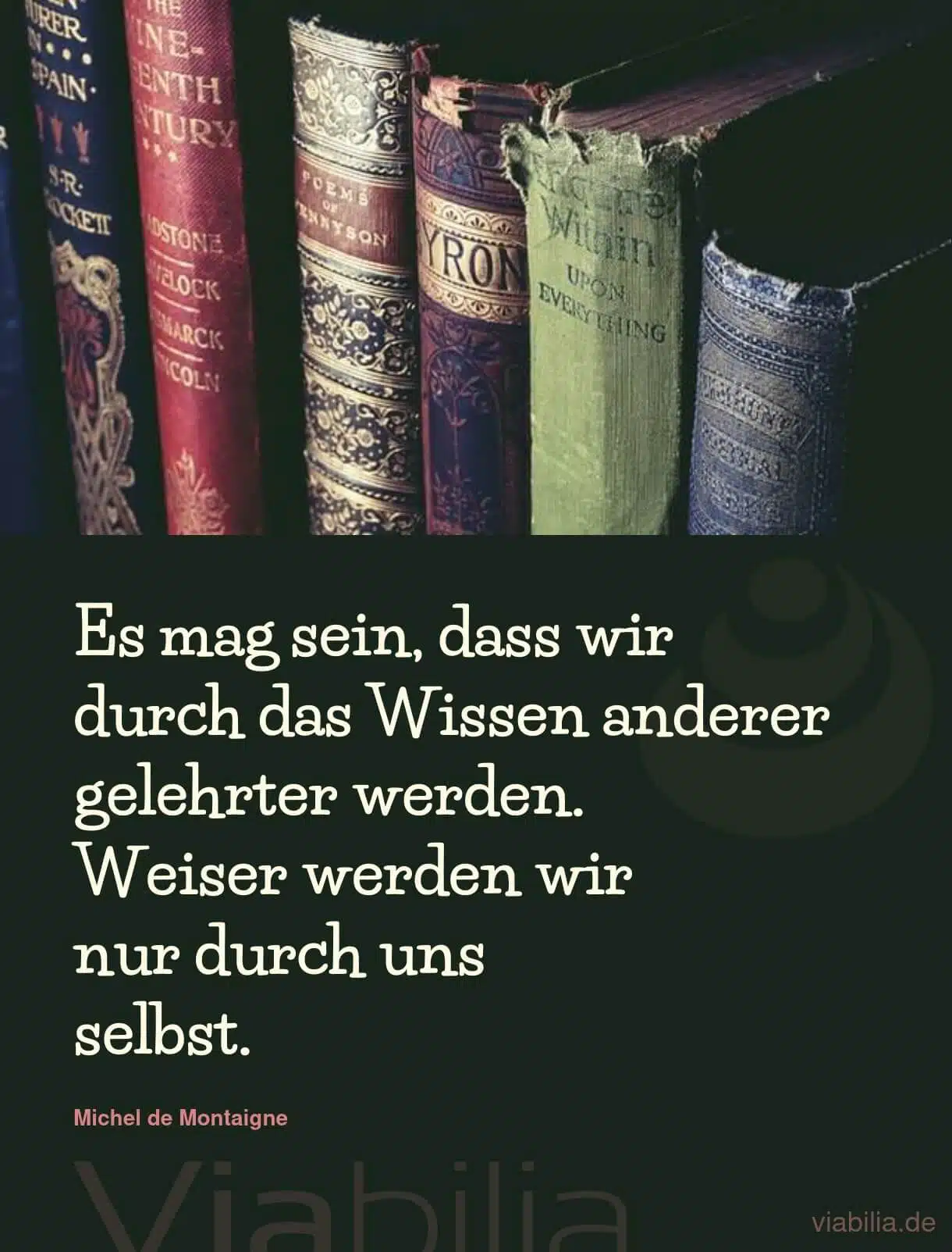 Spruch über Wissen und Weisheit auf Bild