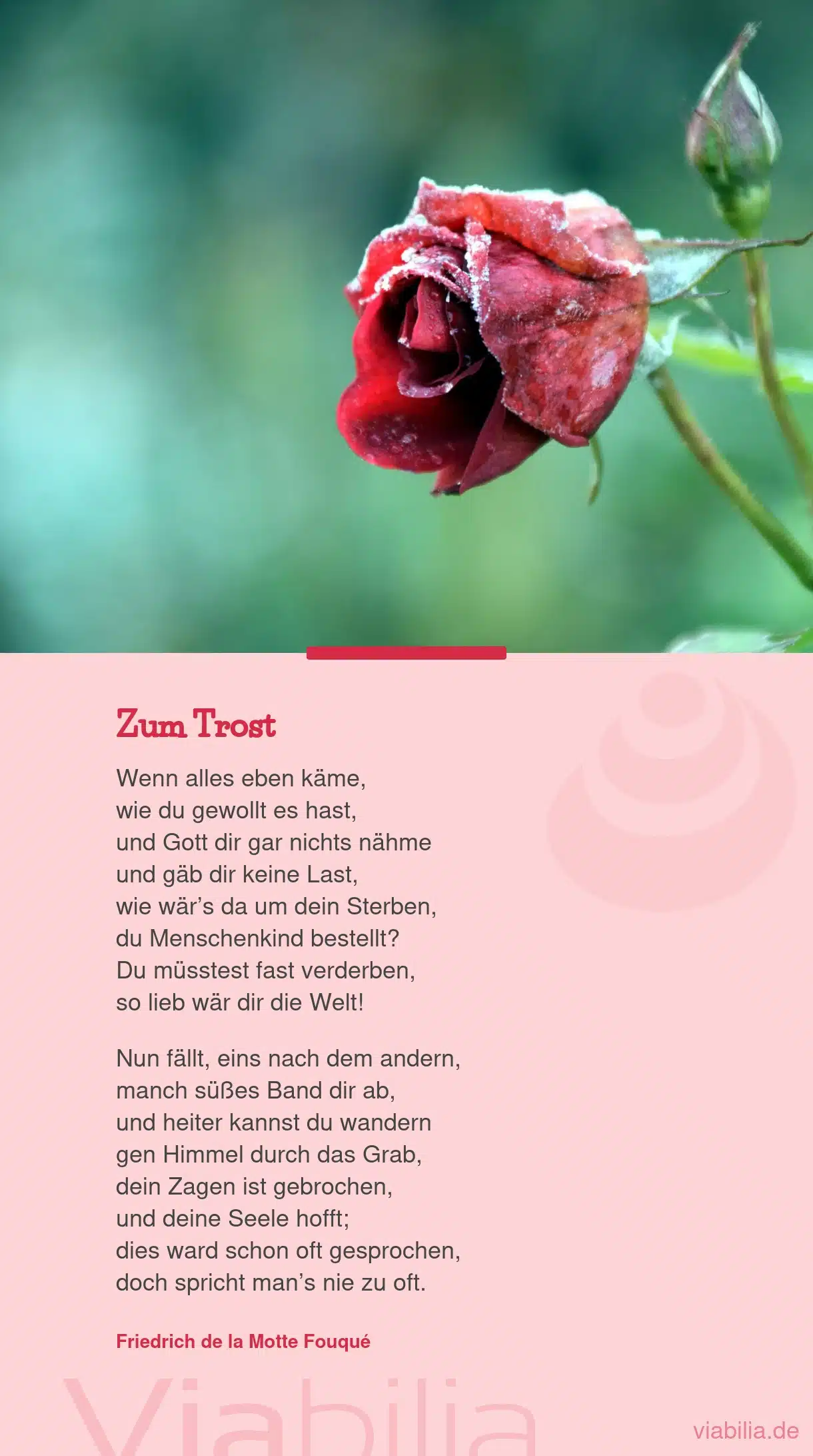 Spruch zum Trost