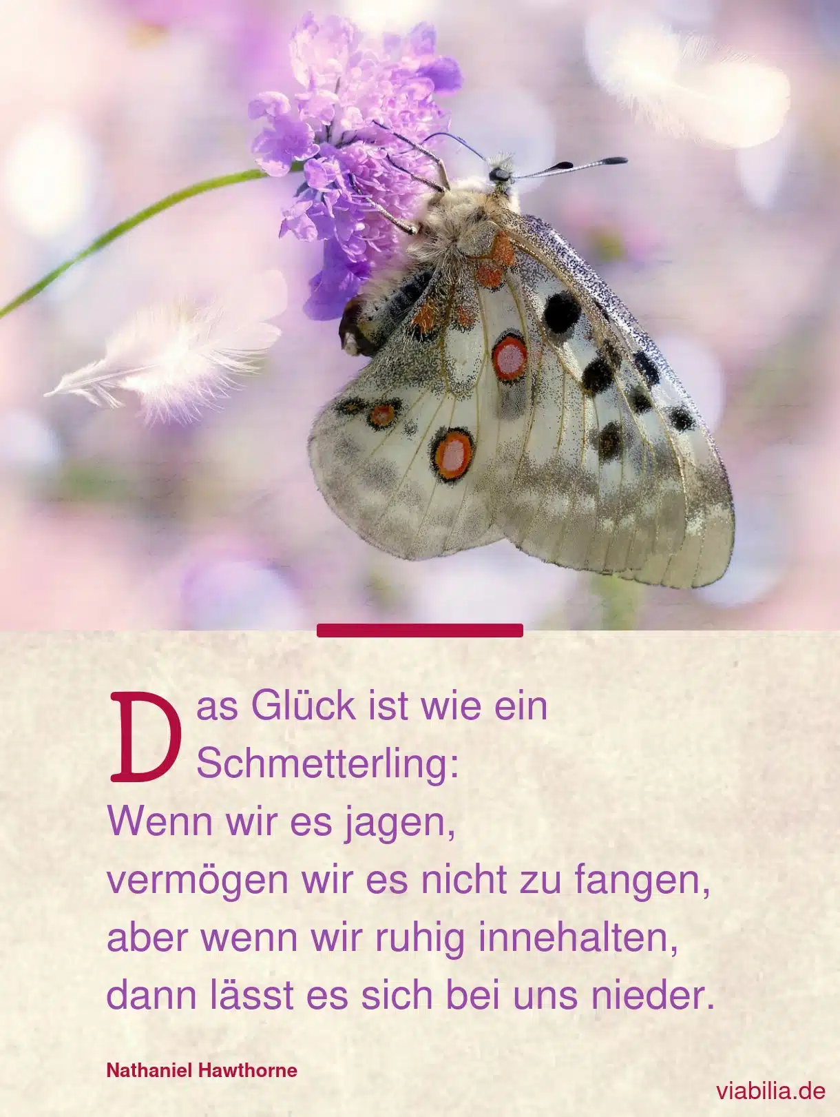 Sprüche: Glück ist wie ein Schmetterling