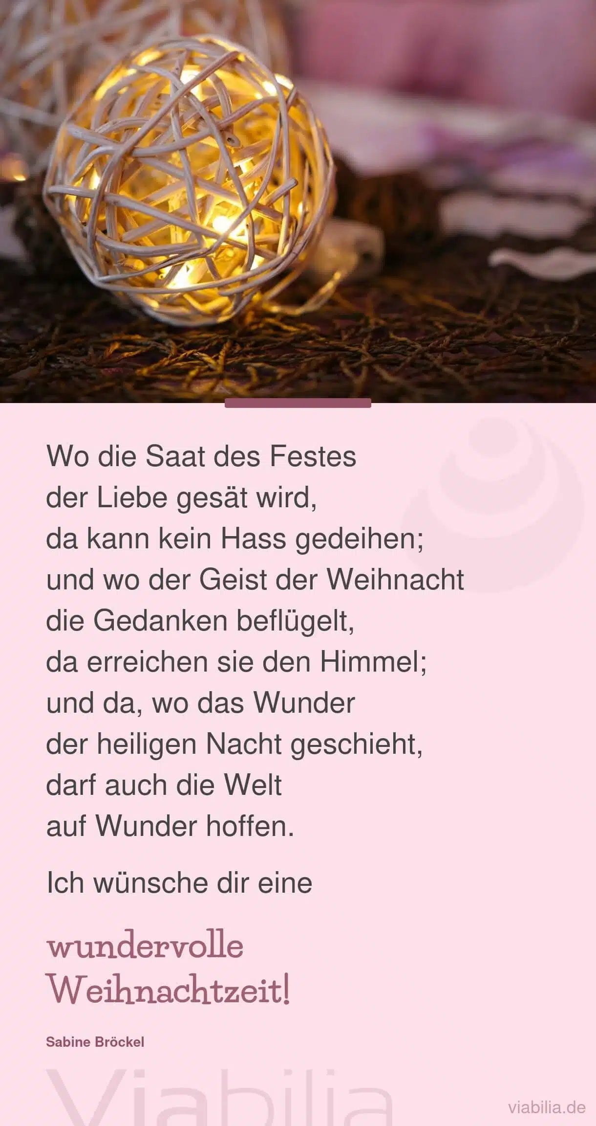 Textidee für Weihnachtskarte: Saat der Liebe an Weihnachten säen