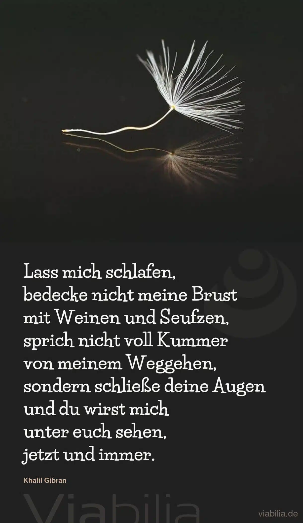 Mitfühlender Trauerspruch von Khalil Gibran